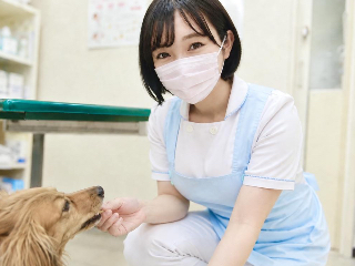 のあ＊+